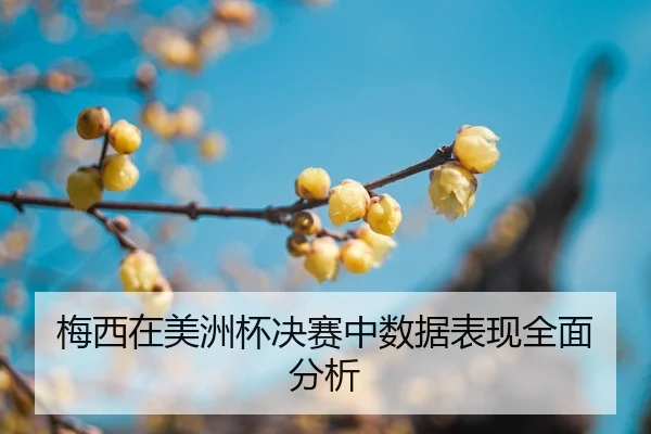 mei-xi-zai-mei-zhou-bei-jue-sai-zhong-shu-ju-biao-xian-quan-mian-fen-xi-2-824.jpg