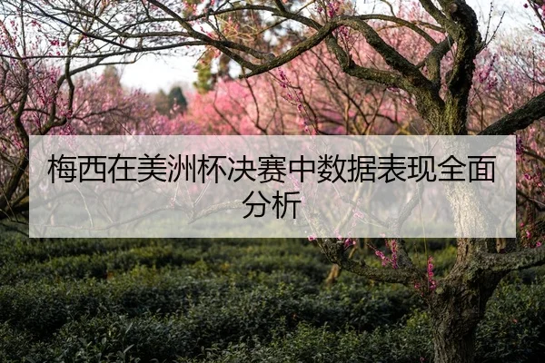 梅西在美洲杯决赛中数据表现全面分析