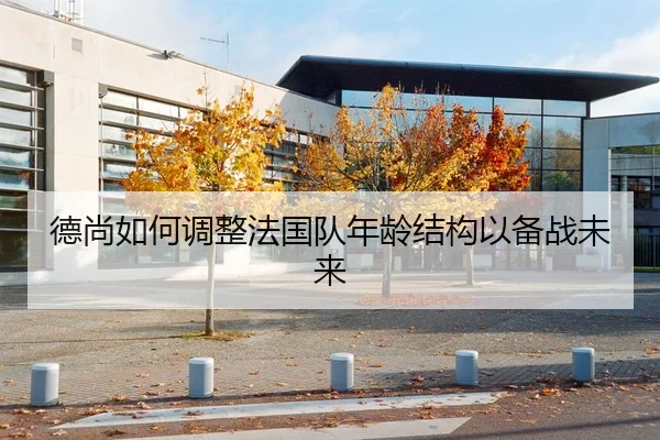 德尚如何调整法国队年龄结构以备战未来