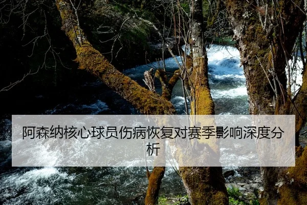 阿森纳核心球员伤病恢复对赛季影响深度分析